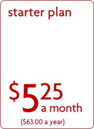 Starter email hosting plan. Suitable for individuals or partnerships that would like a professional email address